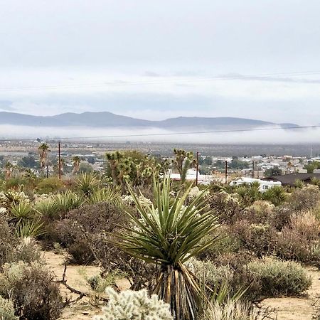 Cozy Desert Retreat With Amazing Views Only 4 Miles To Jtnp Joshua Tree Ngoại thất bức ảnh