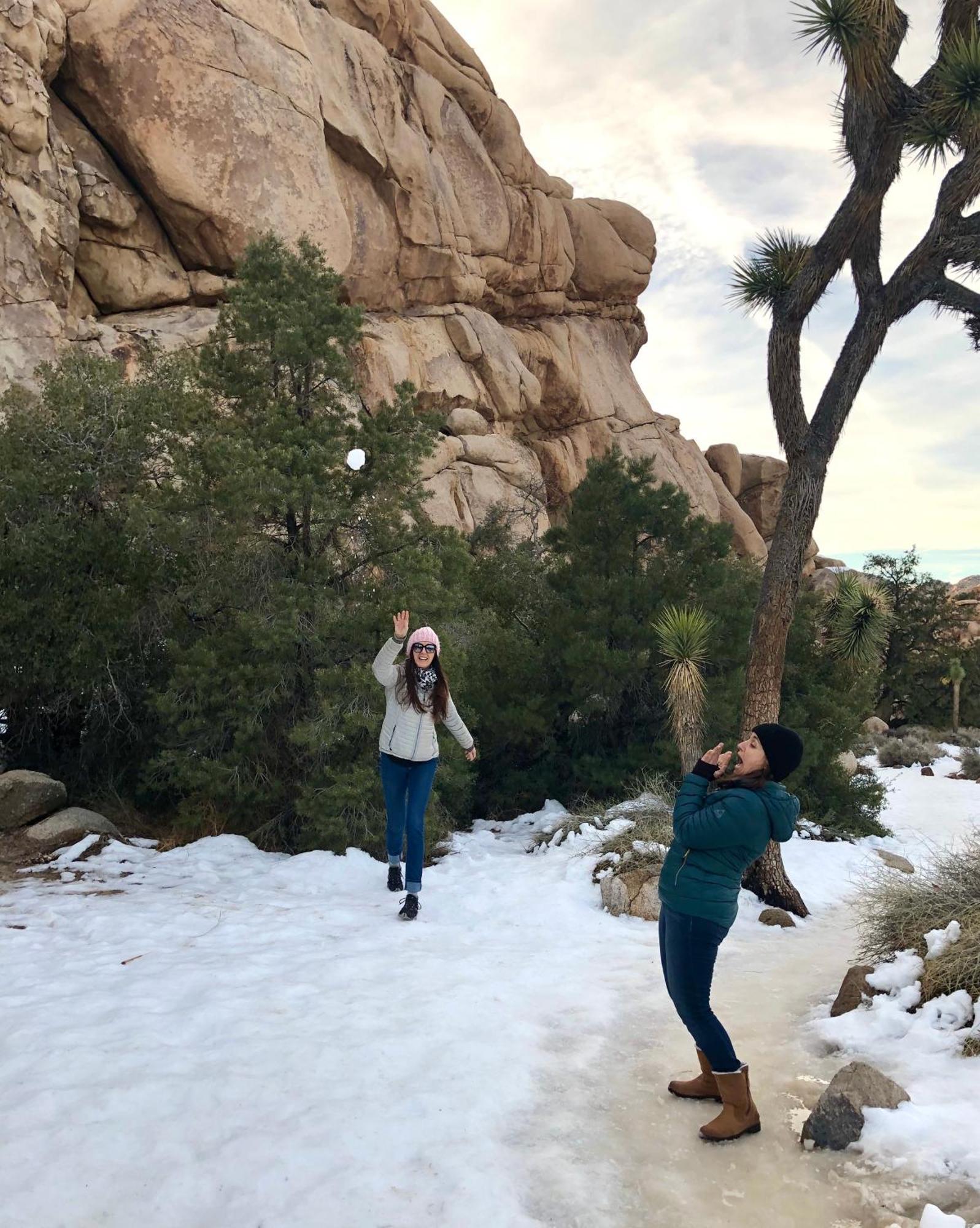 Cozy Desert Retreat With Amazing Views Only 4 Miles To Jtnp Joshua Tree Ngoại thất bức ảnh